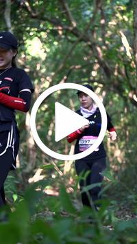 BIB:  <button type="button" onclick="openModal(28056968)" class="btn btn-primary btn-sm float-right" data-toggle="modal" data-target=".modal-high-quality">
                <i class="fa fa-download"></i> Download
                </button>